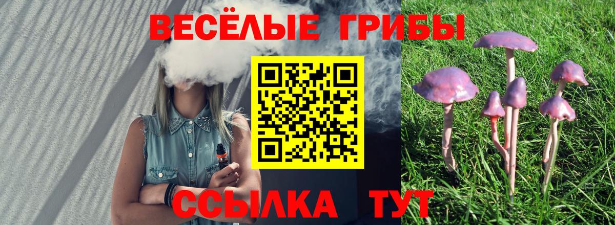 Галлюциногенные грибы Psilocybine cubensis Спасск-Дальний
