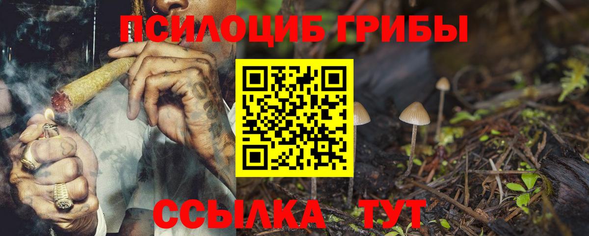Спасск-Дальний  даркнет сайт  Вход с VPN  Псилоцибиновые грибы GOLDEN TEACHER 